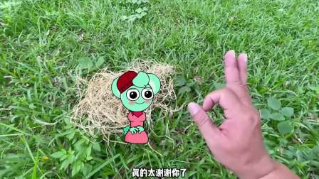 我的节奏人朋友 259集