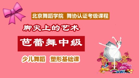 脚尖上的艺术：芭蕾舞中级 21集