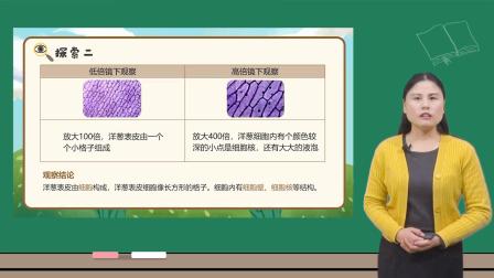 小学科学 教科版六年级上册全册视频课程 6集