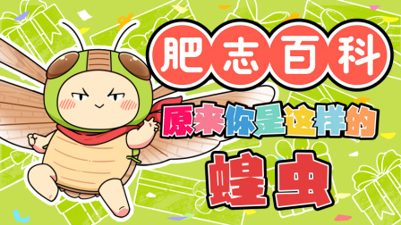 肥志百科 第13季 6集