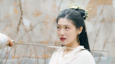 娇妃玉如梦 20集