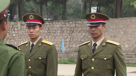 葵花怒放的声响 12集