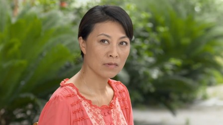 龙门村的故事 25集