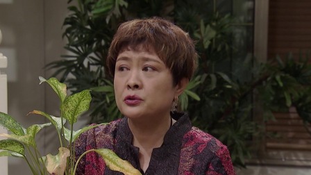 外来媳妇本地郎17 52集