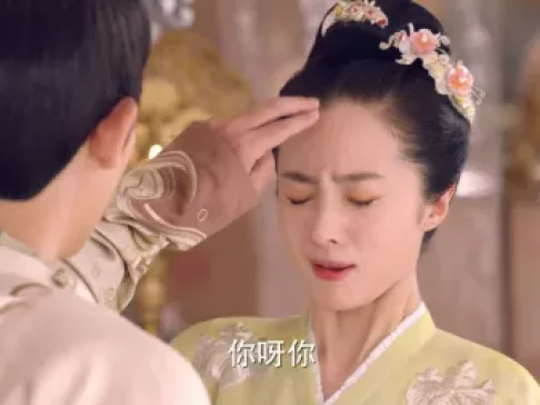 柜中美人 19集
