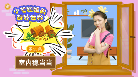 小艺姐姐的奇妙世界 13集