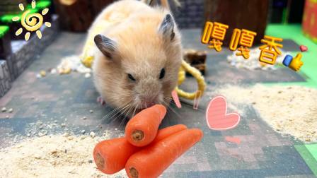 我的仓鼠世界闯关冒险 4集