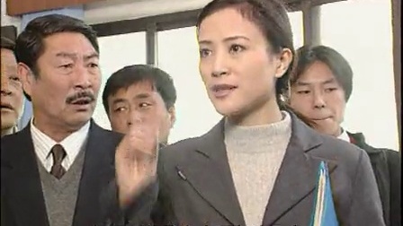 乡里乡亲住高楼 20集
