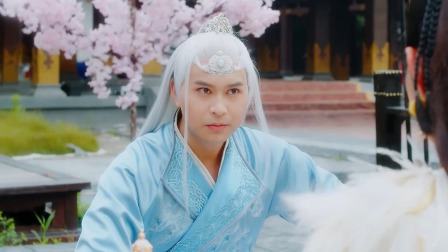 丑女医妃2 20集