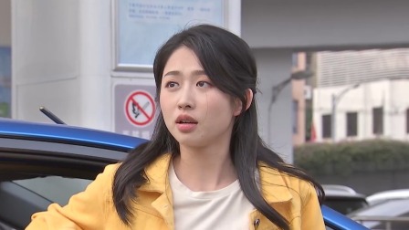 外来媳妇本地郎17 13集