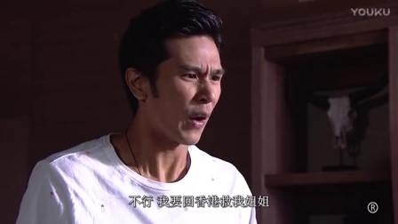 乘胜狙击 28集