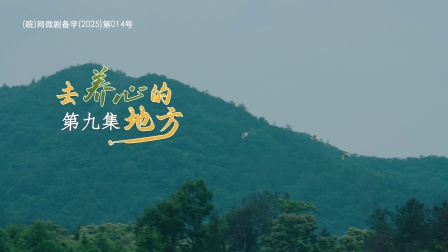 去养心的地方 9集