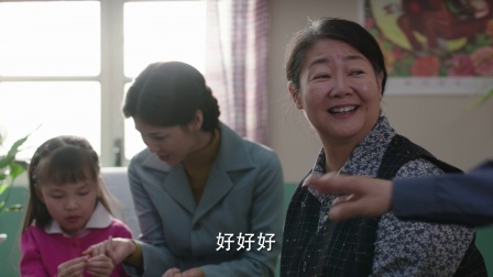那座城这家人  DVD版 17集