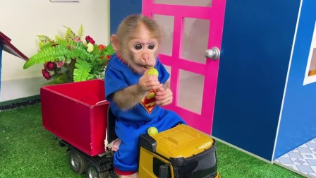 聪明小猴子布布 101集