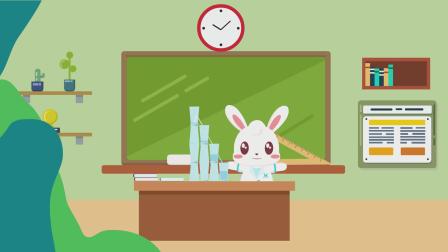 兔小贝科学实验 10集