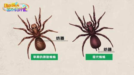超级镜头：百万个为什么之昆虫篇 7集