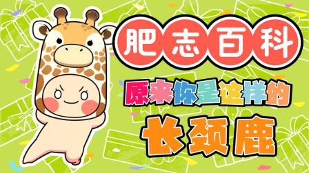 肥志百科 第13季 8集