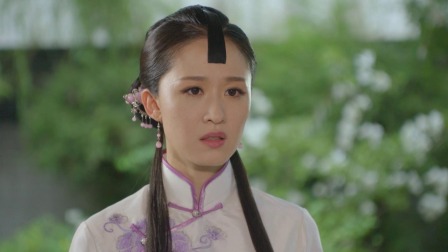 烟花易冷 11集