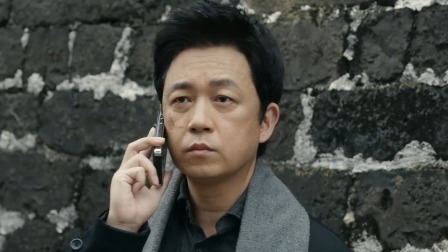 白夜破晓 20集