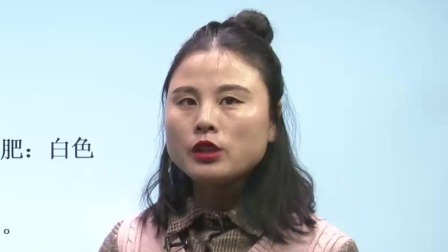 初中化学 九年级下册化学初三人教版2021 29集