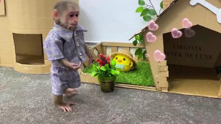 小猴子叮当历险记 12集