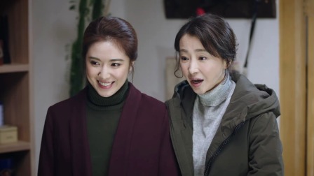 高兴的酸甜苦辣 37集