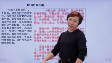 师大附中阅读写作 12集