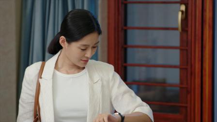 护卫者 20集