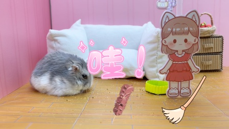 仓鼠益智闯关 14集