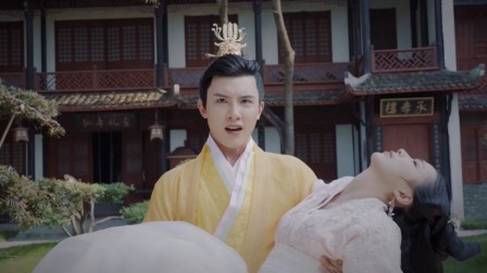 落难王妃 11集