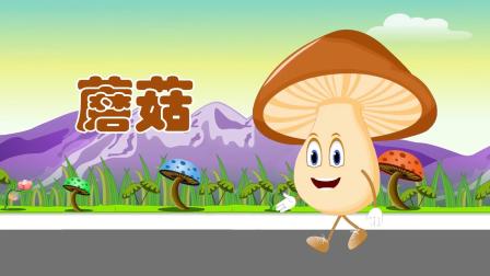 阿布小课堂 我爱蔬菜 17集