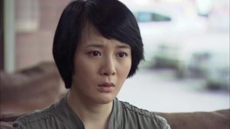 美丽谎言 20集