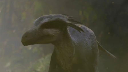 米拉和星仔：恐龙的奇特技能 9集