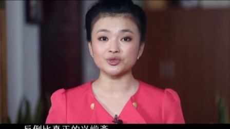 家族的荣誉 10集