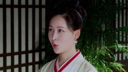 君心权臣 11集