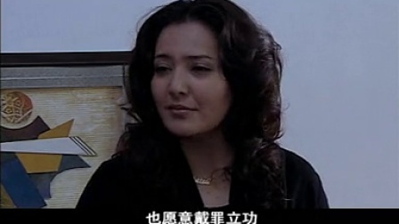猎狐 2012 29集