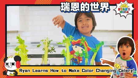 瑞恩的世界英文版 16集