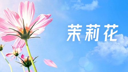 小派儿歌 第一季 37集