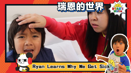 瑞恩的世界英文版 17集