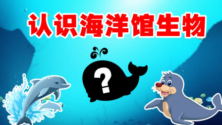 工程车探险颜色乐园100集 84集