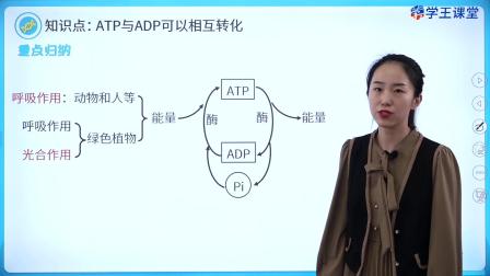学王课堂 人教版高中生物学必修1（分子与细胞） 19集