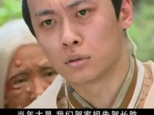 怪侠一枝梅  霍建华版 18集