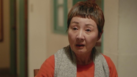 粉红色时光 20集