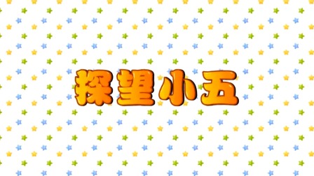 探秘桃花村之我要上小学（上集） 44集