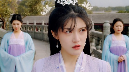 绝品王妃 11集