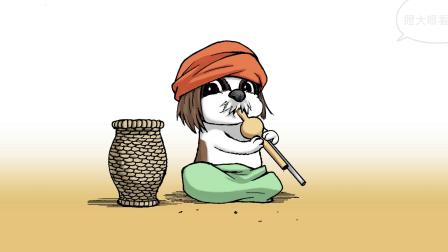 动物园真相 第2季 11集