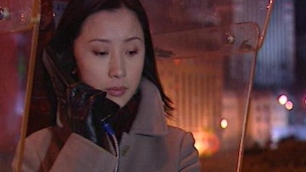 云雀行动 16集