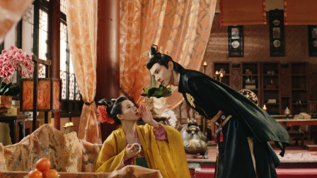 凤婿 5集