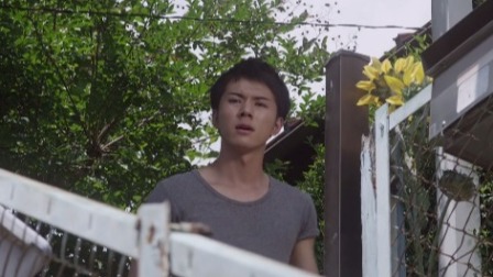 经典奥特曼系列 516集