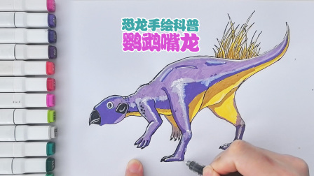 丁丁鸡画恐龙 65集